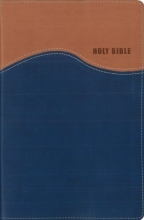 Cover art for NIV Gift Bible