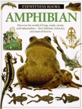 Cover art for Amphibian (Eyewitness Books)