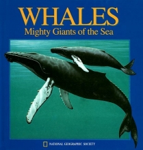 Cover art for Whales: Mighty Giants of the Sea (National Geographic Action Book)
