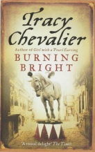 Cover art for Burning Bright