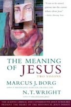Cover art for Meaning of Jesus: Two Visions
