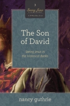 Cover art for The Son of David (A 10-week Bible Study): Seeing Jesus in the Historical Books (Seeing Jesus in the Old Testament)