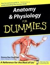 Cover art for Anatomy &amp; Physiology For Dummies