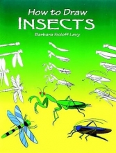 Cover art for How to Draw Insects