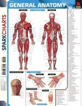 Cover art for General Anatomy (SparkCharts)