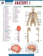 Cover art for Anatomy 1 - REA's Quick Access Reference Chart (Quick Access Reference Charts)