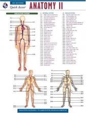 Cover art for Anatomy 2 - REA's Quick Access Reference Chart (Quick Access Reference Charts)