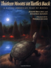 Cover art for Thirteen Moons on Turtle's Back
