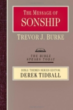 Cover art for The Message of Sonship (Bible Speaks Today: Bible Themes)