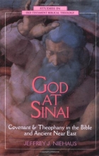 Cover art for God at Sinai