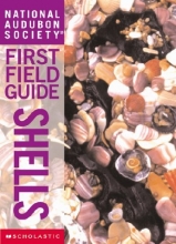 Cover art for Shells (National Audubon Society First Field Guides)