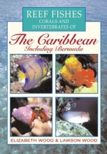 Cover art for Reef Fishes Corals and Invertebrates of the Caribbean : A Diver's Guide