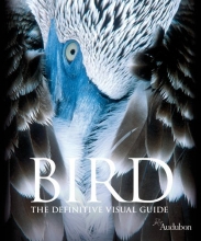 Cover art for Bird