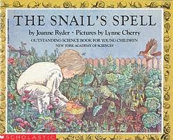 Cover art for The snail's spell