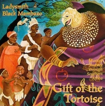 Cover art for Gift Of The Tortoise: A Musical Journey Through Southern Africa