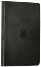 Cover art for ESV Value Thinline Bible (TruTone, Midnight, Flame Design)