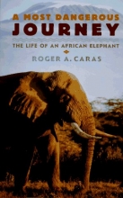 Cover art for A Most Dangerous Journey: The Life of an African Elephant