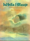 Cover art for While I Sleep