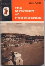 Cover art for The Mystery of Providence