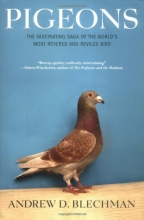Cover art for Pigeons: The Fascinating Saga of the World's Most Revered and Reviled Bird