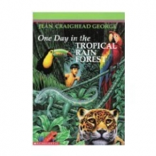 Cover art for One Day in the Tropical Rain Forest