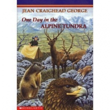 Cover art for One Day in the Alpine Tundra