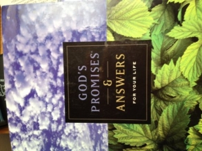 Cover art for God's Promises & Answers For Your Life