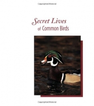 Cover art for Secret Lives of Common Birds: Enjoying Bird Behavior Through the Seasons