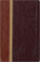 Cover art for NIV and The Message Parallel Study Bible, Personal Size: Updated Numbered Edition