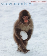 Cover art for Snow Monkeys