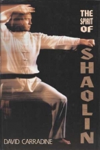 Cover art for The Spirit of Shaolin