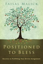 Cover art for Positioned to Bless: Secrets to Fulfilling Your Divine Assignment