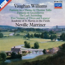 Cover art for Vaughan Williams: Fantasies; The Lark Ascending; Five Variants