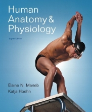 Cover art for Human Anatomy & Physiology, 8th Edition