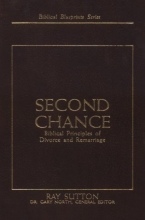 Cover art for Second Chance: Biblical Principles of Divorce and Remarriage (Biblical Blueprints)