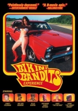 Cover art for Bikini Bandits Experience