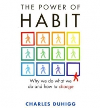 Cover art for The Power of Habit - Why We Do What We Do in Life and Business