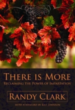 Cover art for There Is More Reclaiming the Power of Impartation