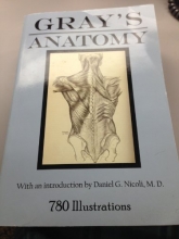 Cover art for Gray's Anatomy