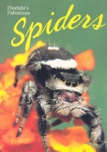 Cover art for Florida's Fabulous Spiders