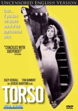 Cover art for Torso 