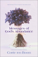 Cover art for Messages of God's Abundance