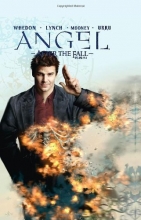 Cover art for Angel: After the Fall, Vol. 4