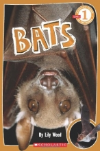 Cover art for Scholastic Reader Level 1: Bats