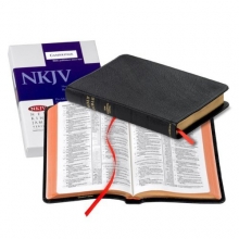 Cover art for NKJV Pitt Minion Reference Black Goatskin NK446XR
