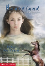 Cover art for After the Storm (Heartland #2)