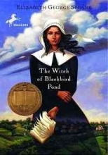 Cover art for The Witch of Blackbird Pond