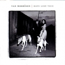 Cover art for Days Like This
