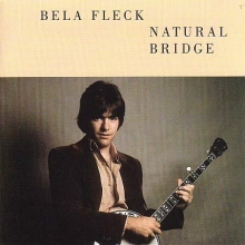 Cover art for Natural Bridge