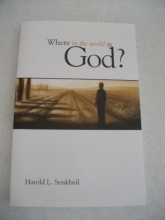 Cover art for Where in the World is God?